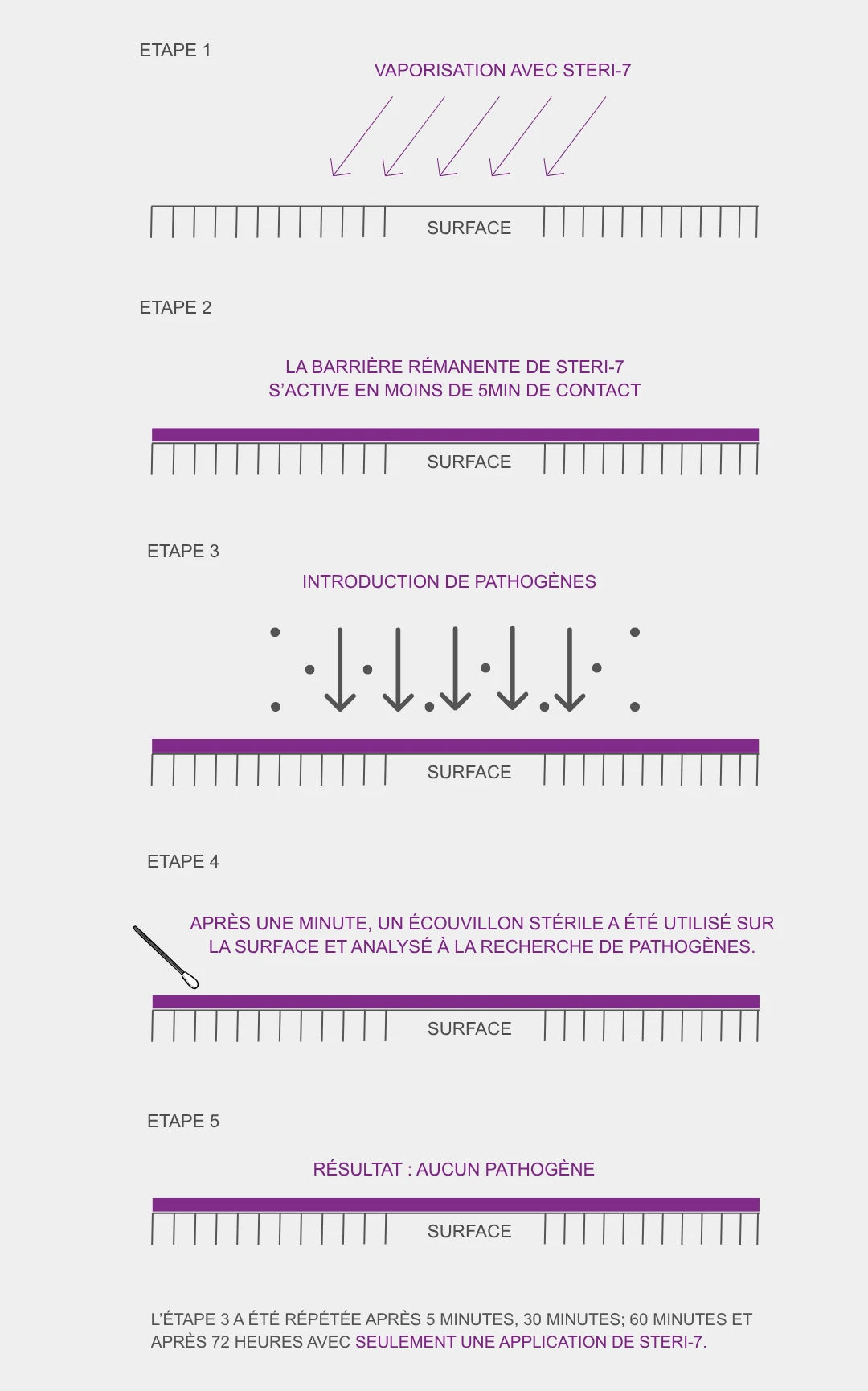 Schéma en cinq étapes : vaporisation, activation de la barrière rémanente, introduction de pathogènes, analyse par écouvillon, résultat sans pathogène