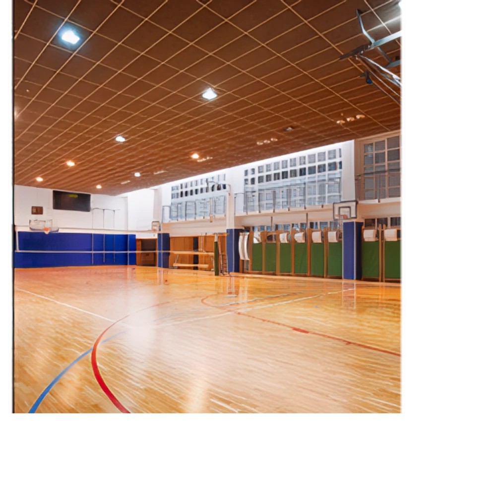 Gymnase – secteur Collectivités, désinfection professionnelle STERI-7