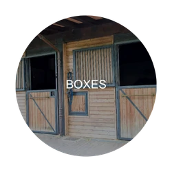 Boxes : zone critique à désinfecter – Animaux de compagnie & équidés