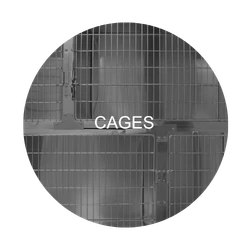 Cages : zone critique à désinfecter – Animaux de compagnie & équidés