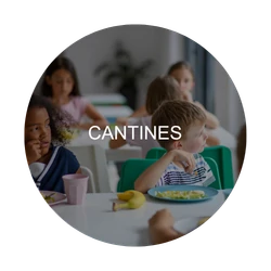 Cantines : zone critique à désinfecter – Collectivités