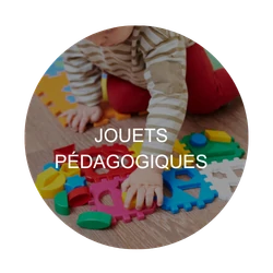 Jouets pédagogiques : zone critique à désinfecter – Collectivités