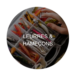 Leurres & hameçons : zone critique à désinfecter – Aquaculture