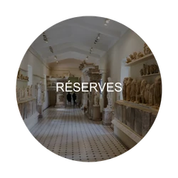 Réserves : zone critique à désinfecter – Patrimoine