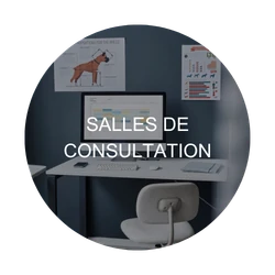 salles de consultation : zone critique à désinfecter – Animaux de compagnie & équidés