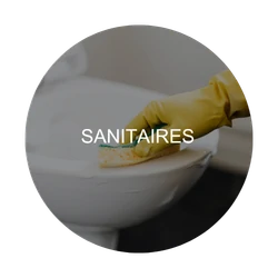 Sanitaires : zone critique à désinfecter – Collectivités