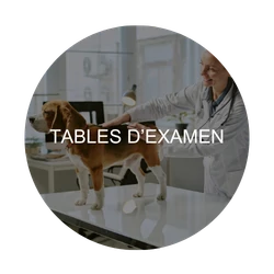 Tables d'examen : zone critique à désinfecter – Animaux de compagnie & équidés