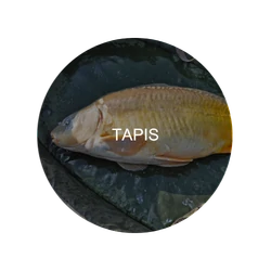 Tapis : zone critique à désinfecter – Aquaculture