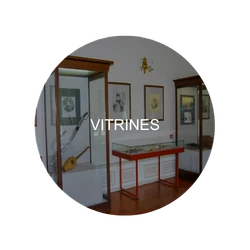Vitrines : zone critique à désinfecter – Patrimoine